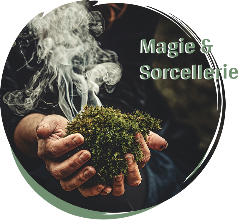 Magie & Sorcellerie