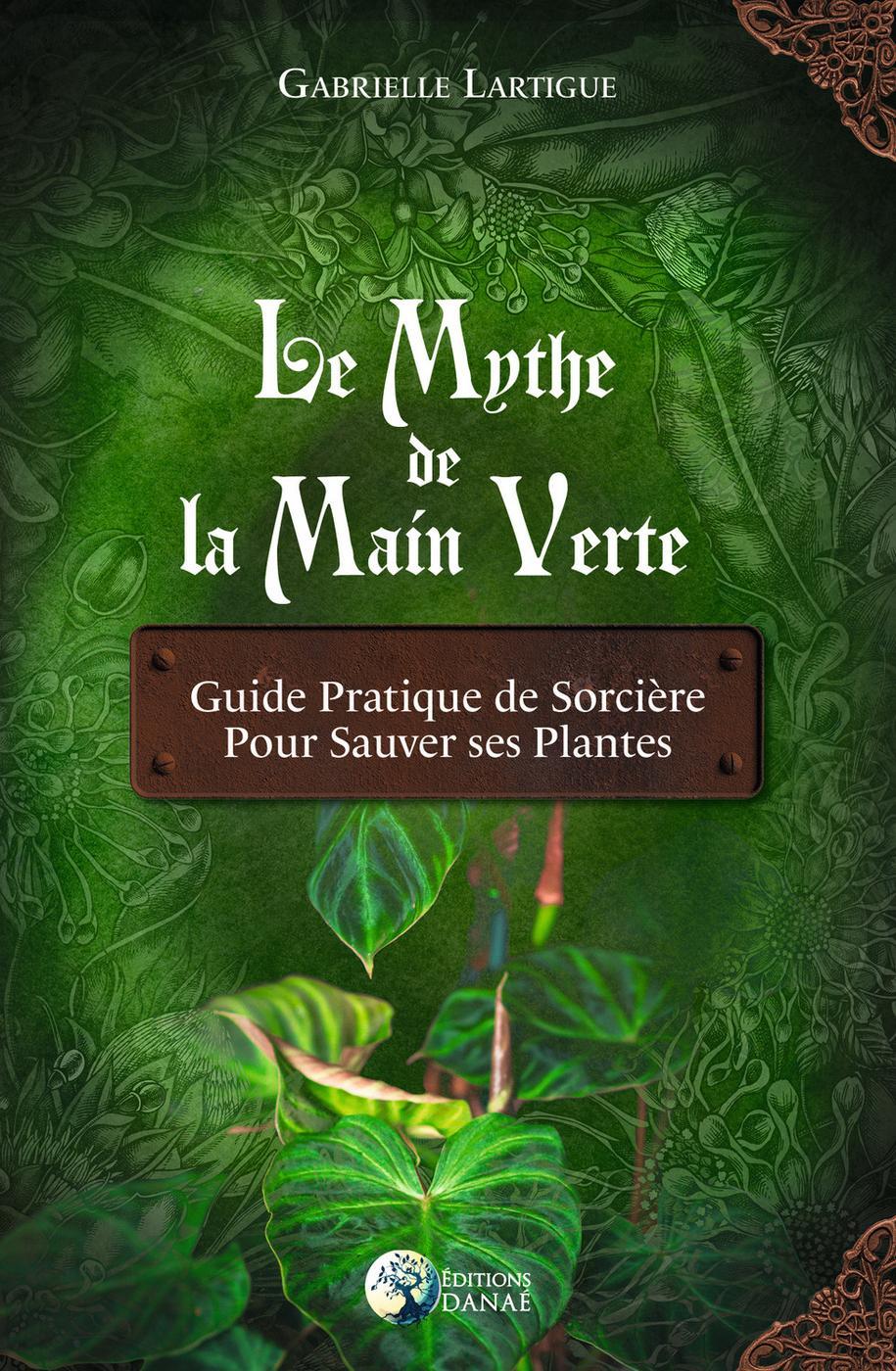 Guide des plantes : THÉ VERT